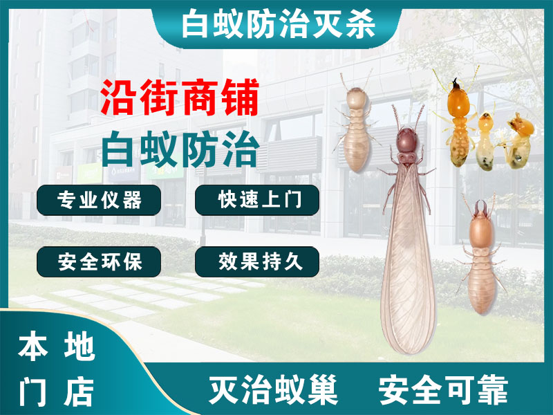 镇江沿街商铺白蚁防治