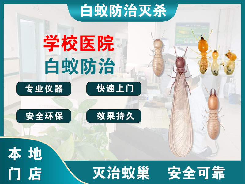 镇江学校医院白蚁防治
