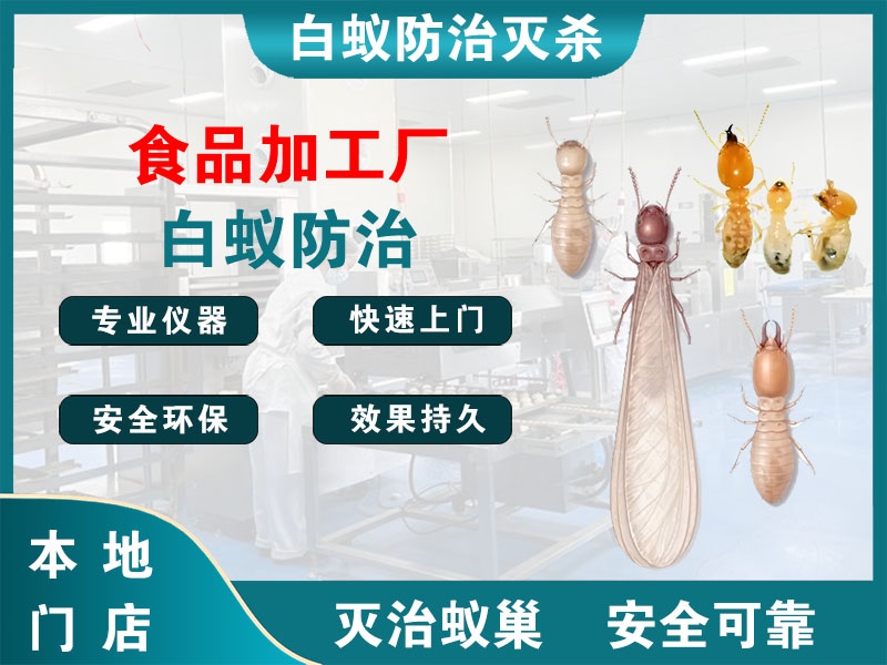 镇江食品加工厂白蚁防治