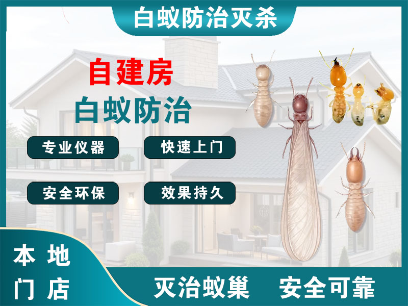 镇江自建房白蚁防治