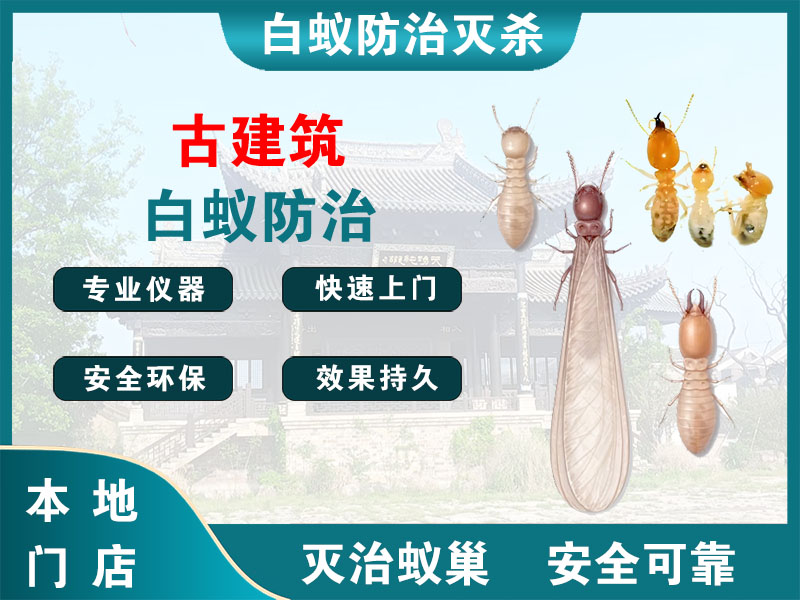 镇江古建筑白蚁防治