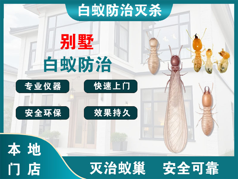 镇江别墅白蚁防治