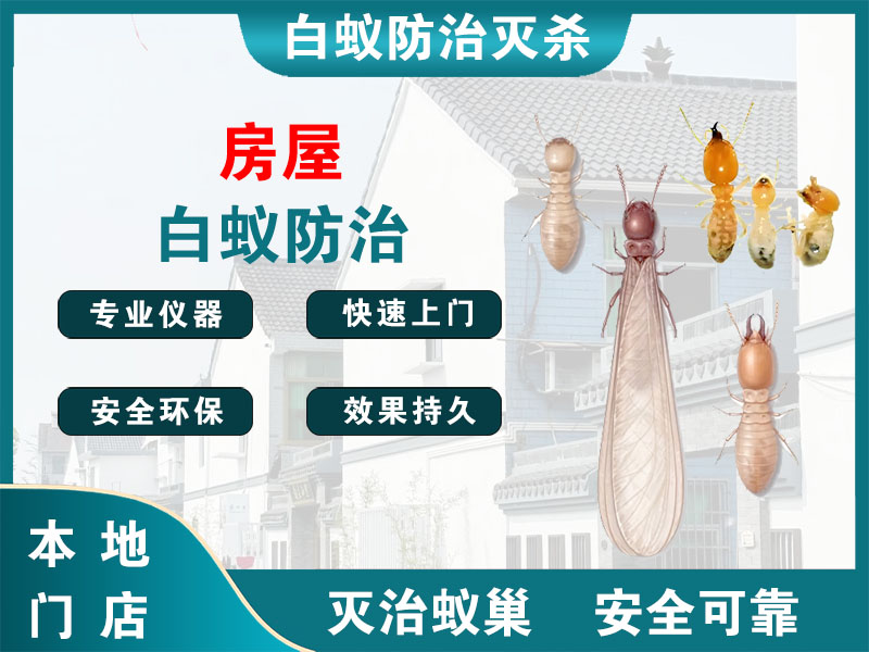 镇江房屋白蚁防治